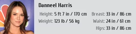 What Bra Size Is Danneel Ackles?