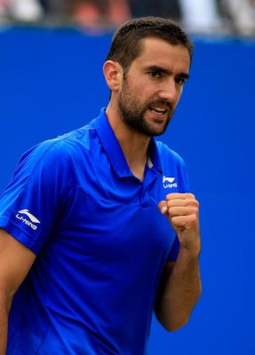 Marin Čilić