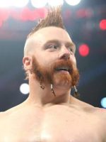 WWE Wrestler Sheamus