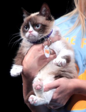 Morgana McNelis