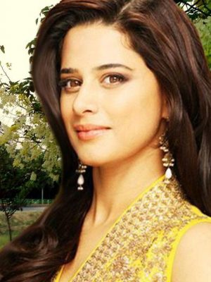 Mehreen Raheel