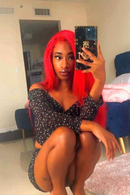 Mini Stallion